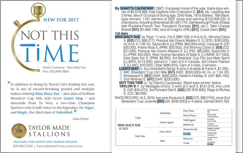 171313-NotThisTime-half-TDN-02 (1)