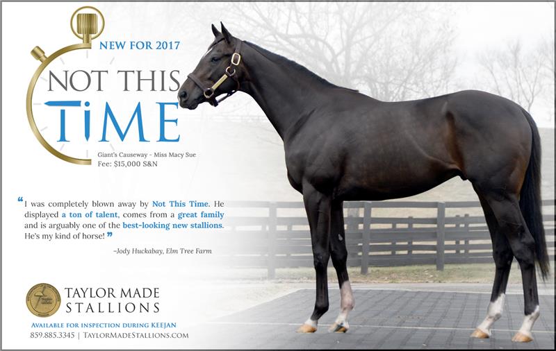 171313-NotThisTime-half-TDN-03 (1)