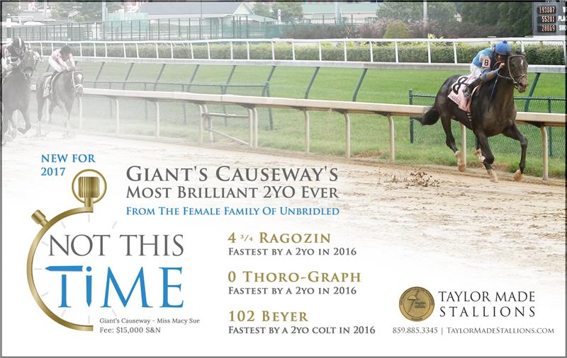 172426-NotThisTime-half-TDN