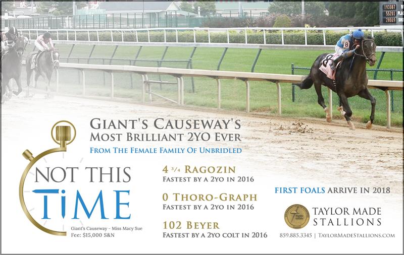 181458-NotThisTime-half-TDN