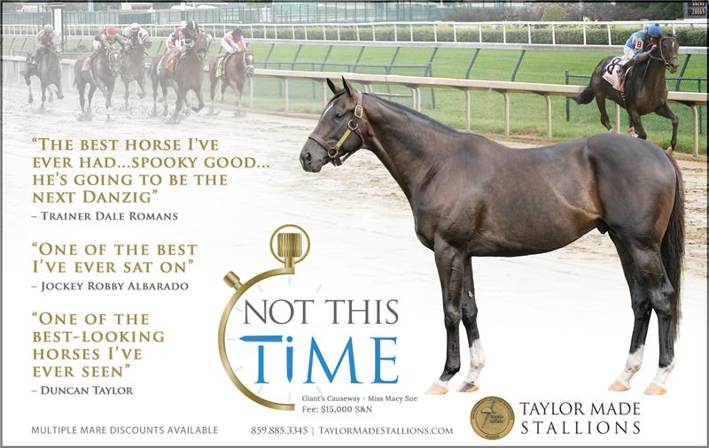 181511-NotThisTime-half-TDN-01