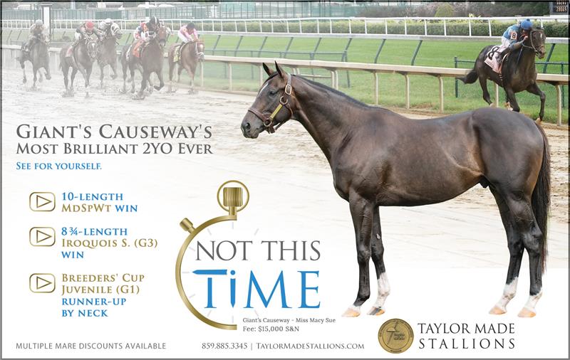 181603-NotThisTime-half-TDN
