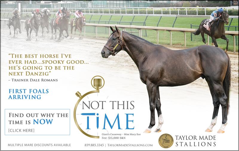 182654-NotThisTime-half-TDN