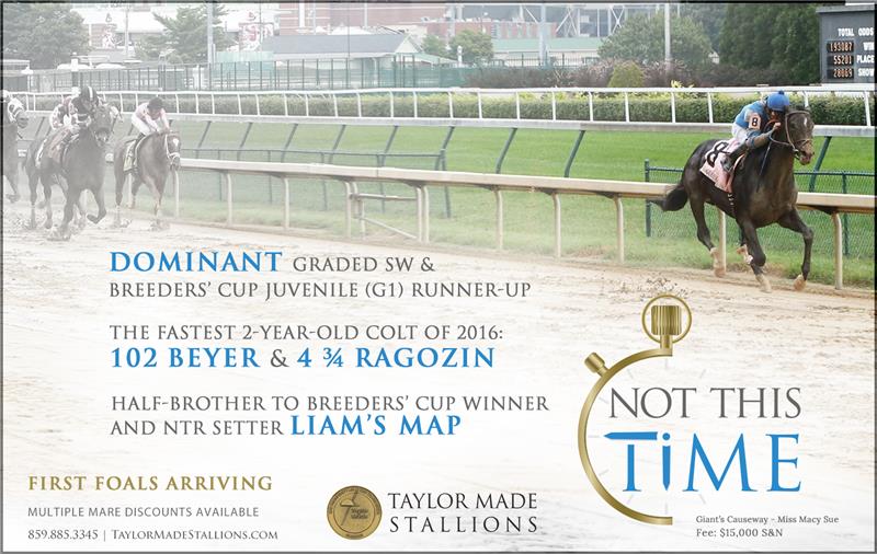 182672-NotThisTime-half-TDN