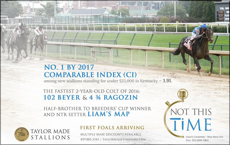182849-NotThisTime-half-TDN