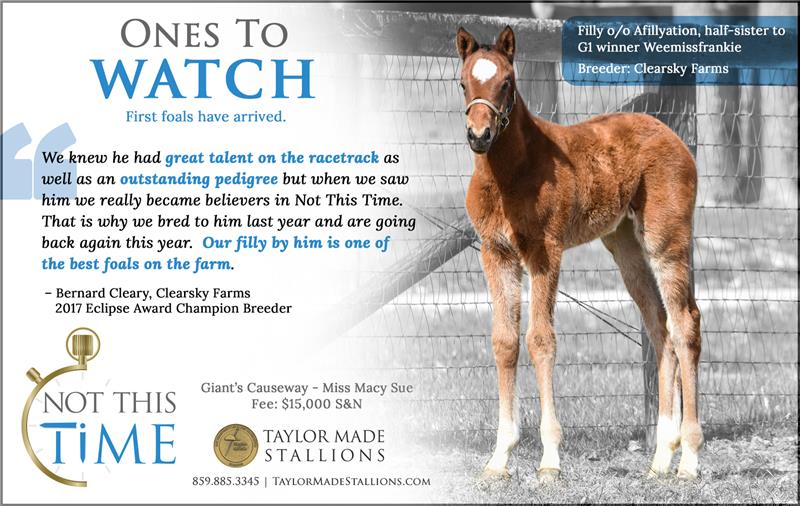 183544-NotThisTime-half-TDN