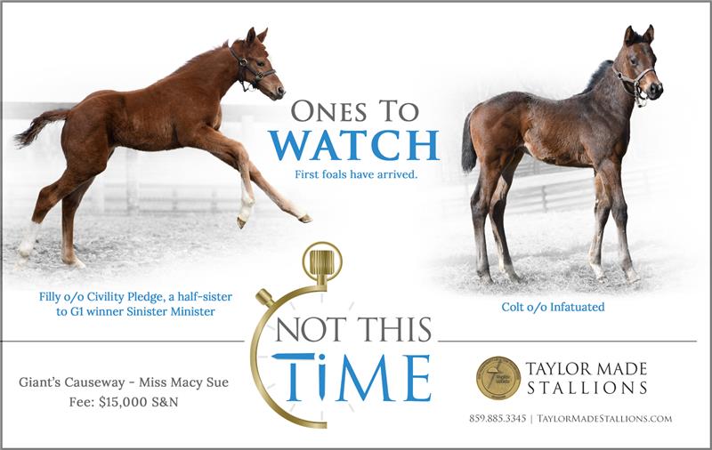 183895-NotThisTime-half-TDN