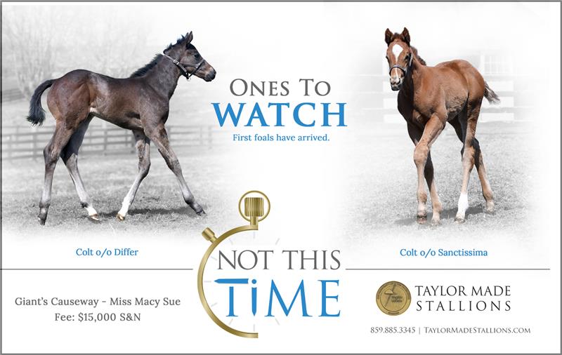 184396-NotThisTime-half-TDN-V03