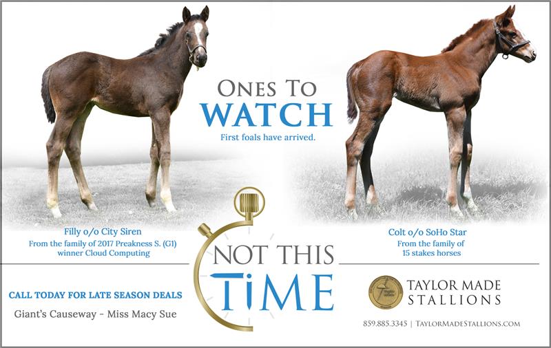 184910-NotThisTime-half-TDN