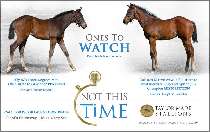 185198-NotThisTime-half-TDN