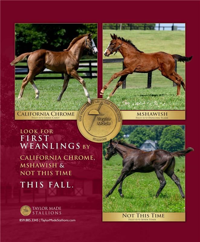 185680-TaylorMade-Foals-KeeMag-proof