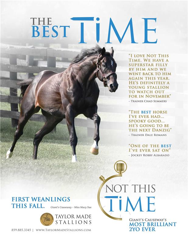 186850-NotThisTime-TDN