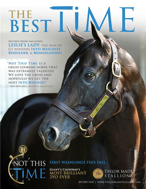 186892-NotThisTime-TDN