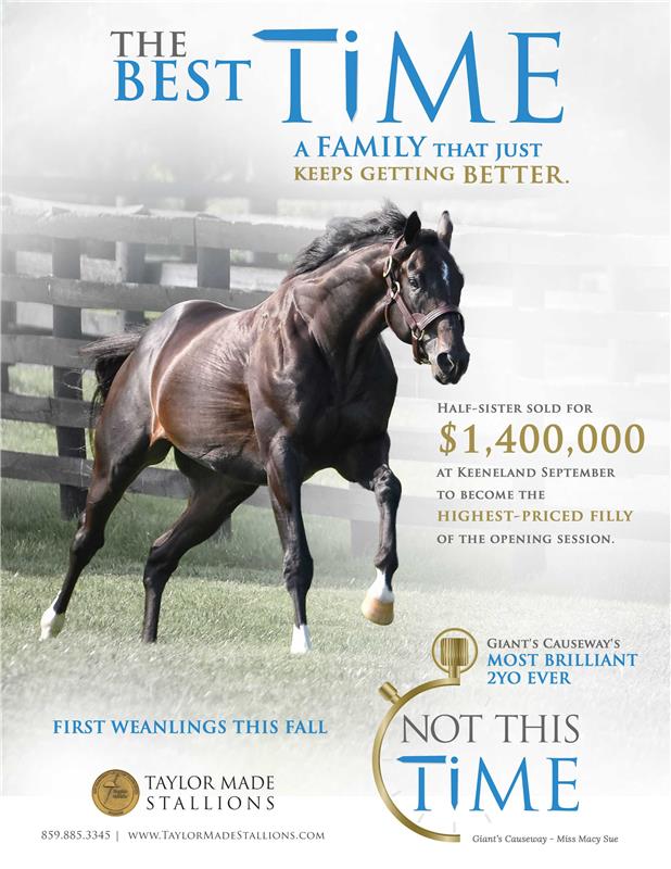 187612-NotThisTime-TDN-FINAL