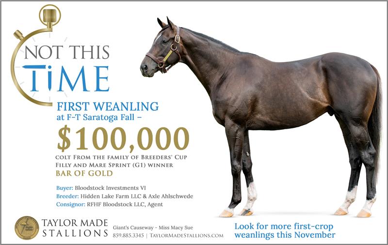 188330-NotThisTime-half-TDN