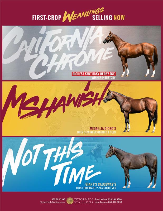 188680-TaylorMade-Weanlings-TDN-FINAL