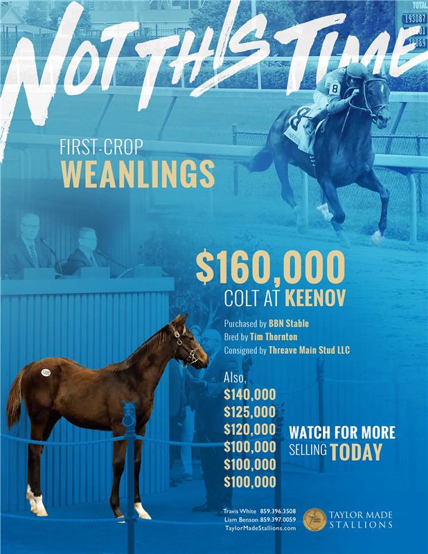 189005-NotThisTime-TDN