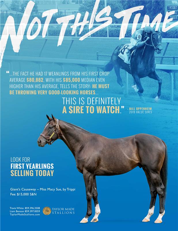 190293-NotThisTime-TDN-proof
