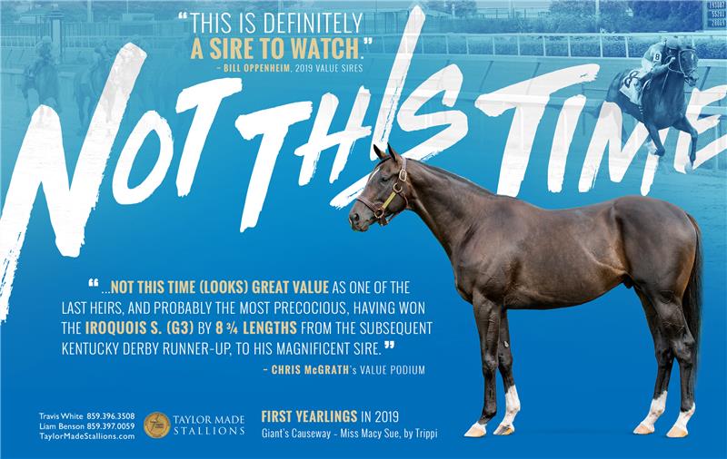 190850-NotThisTime-half-TDN