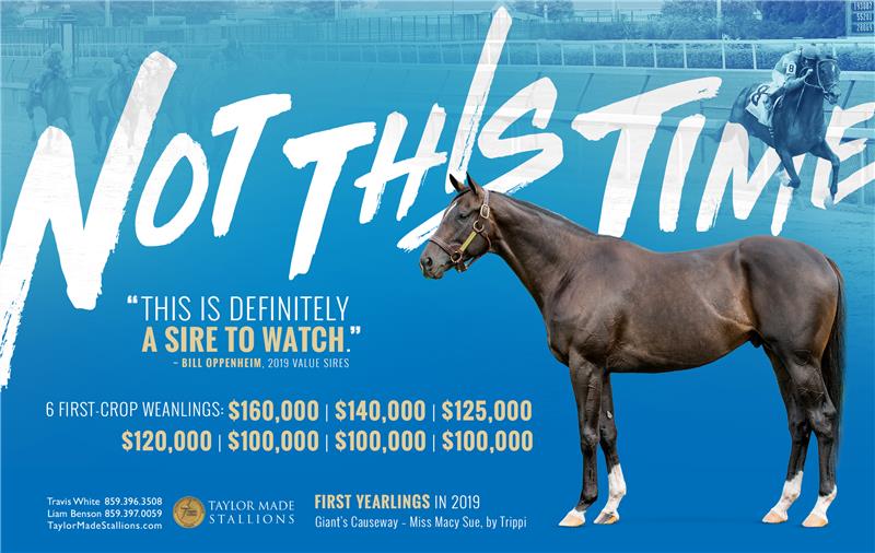191349-NotThisTime-half-TDN