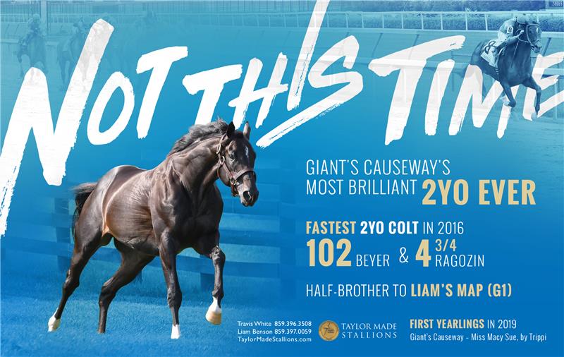191391-NotThisTime-half-TDN