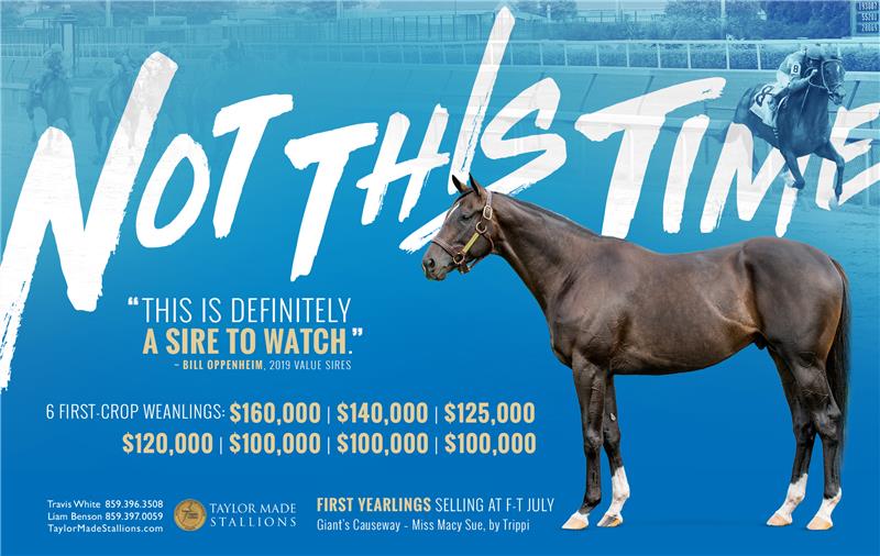193362-NotThisTime-half-TDN
