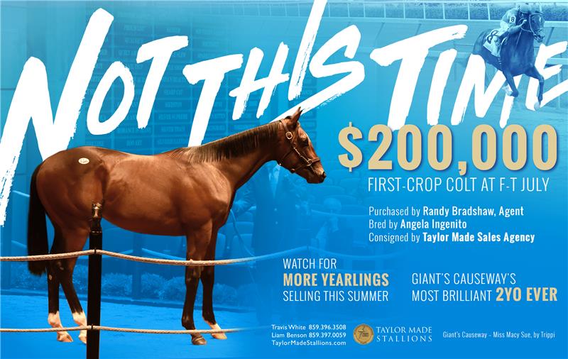 193405-NotThisTime-half-TDN