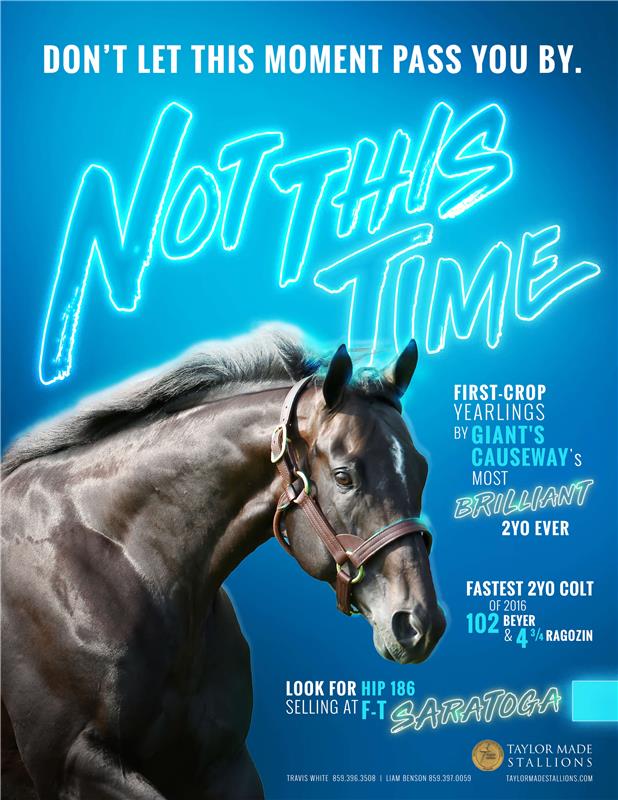 193617-NotThisTime-TDN-V3-merged