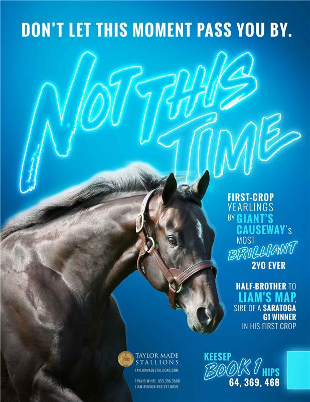 194217-NotThisTime-TDN-FINAL