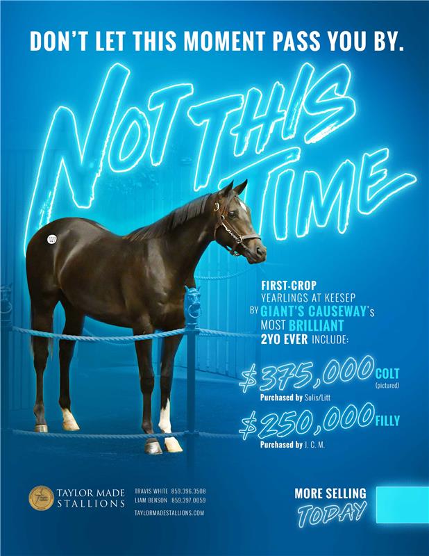 194250-NotThisTime-TDN-FINAL