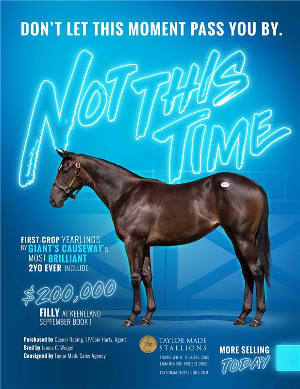 194276-NotThisTime-TDN