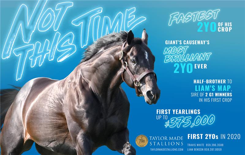 195941-NotThisTime-half-TDN