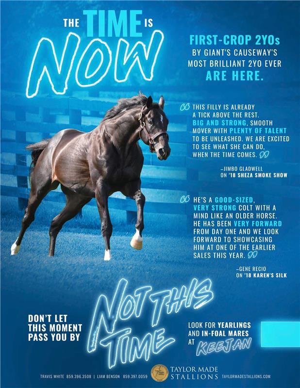 196427-NotThisTime-TDN