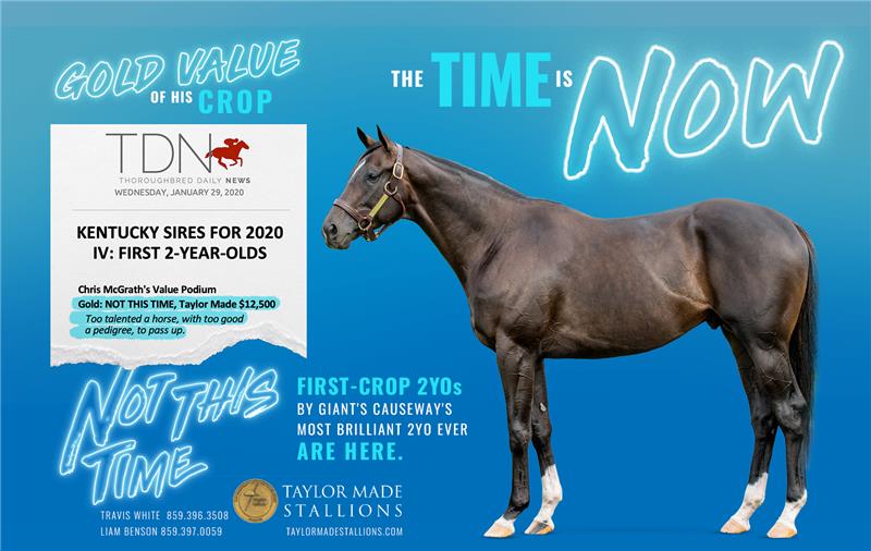 196788-NotThisTime-half-TDN-V02
