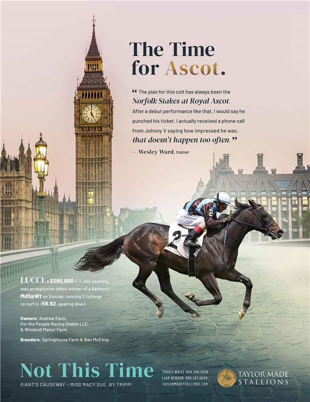 202983-NotThisTime-Ascot-TDN-V2-FINAL