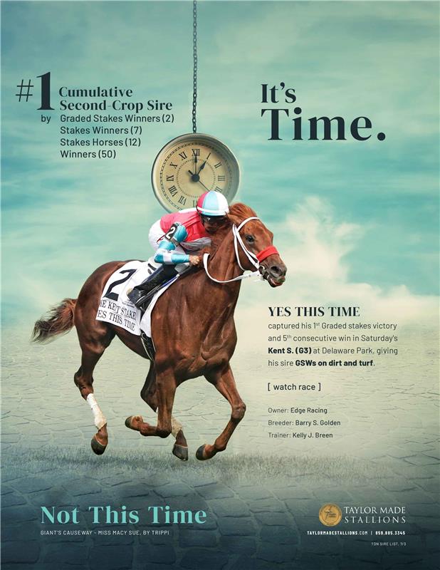 203216-NotThisTime-TDN-V2-FINAL