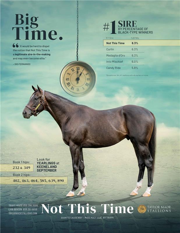 204050-NotThisTime-TDN