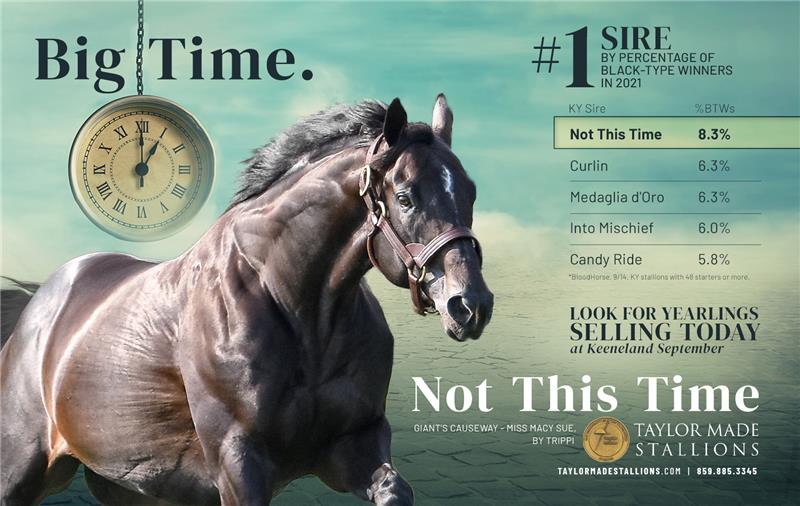 204104-NotThisTime-Half-TDN