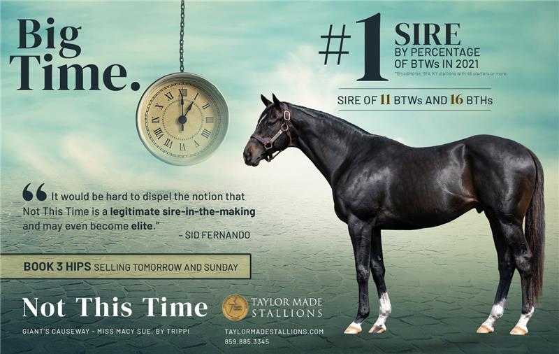 204125-NotThisTime-half-TDN
