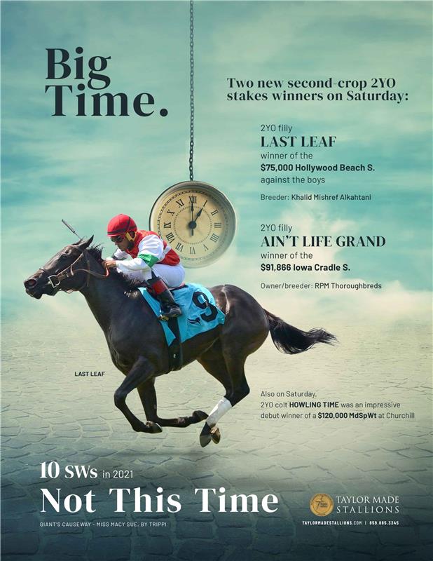 204151-NotThisTime-TDN-FINAL