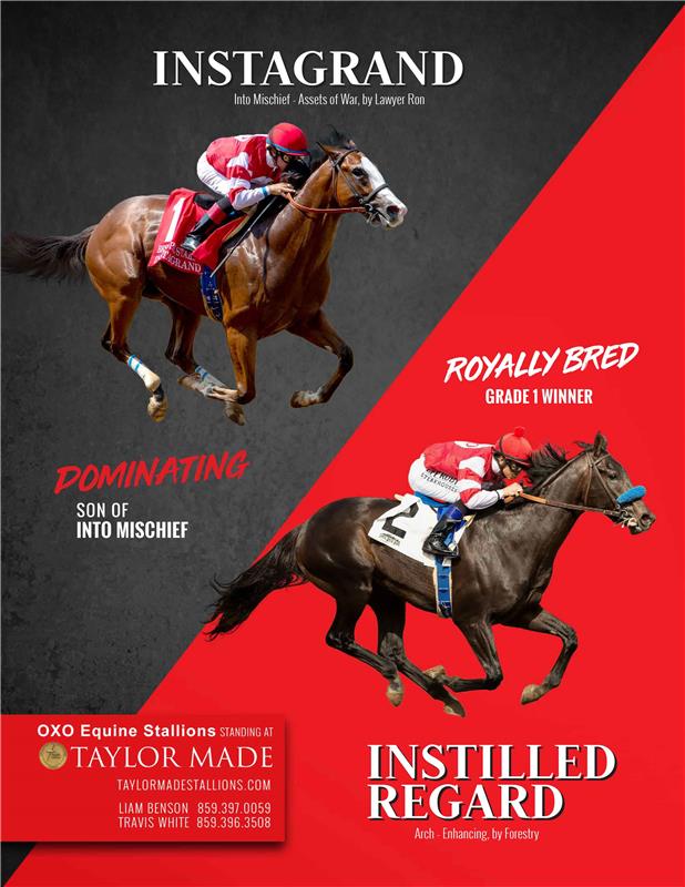 204385-TaylorMade-OXO_Invite-PG2-TDN