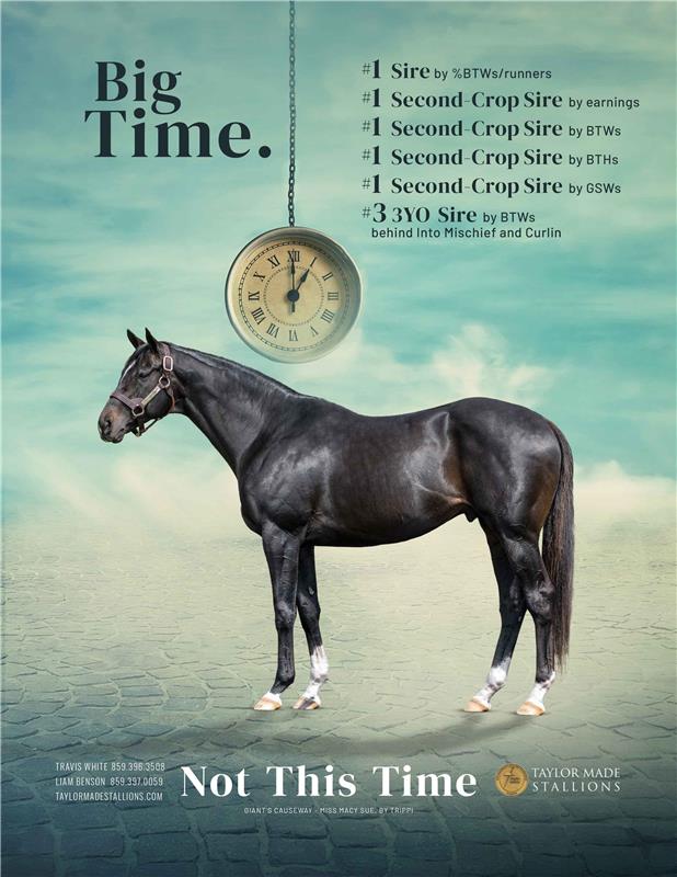 204432-NotThisTime-TDN