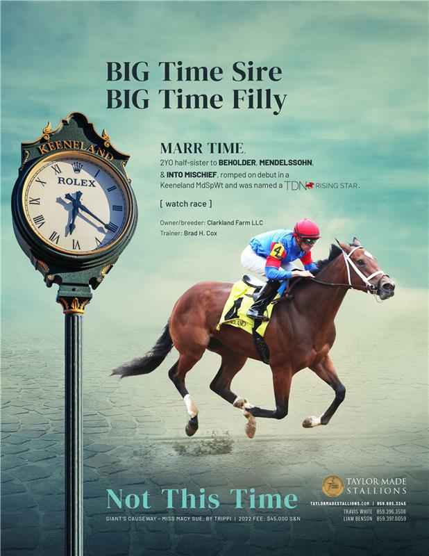 204586-NotThisTime-TDN-FINAL