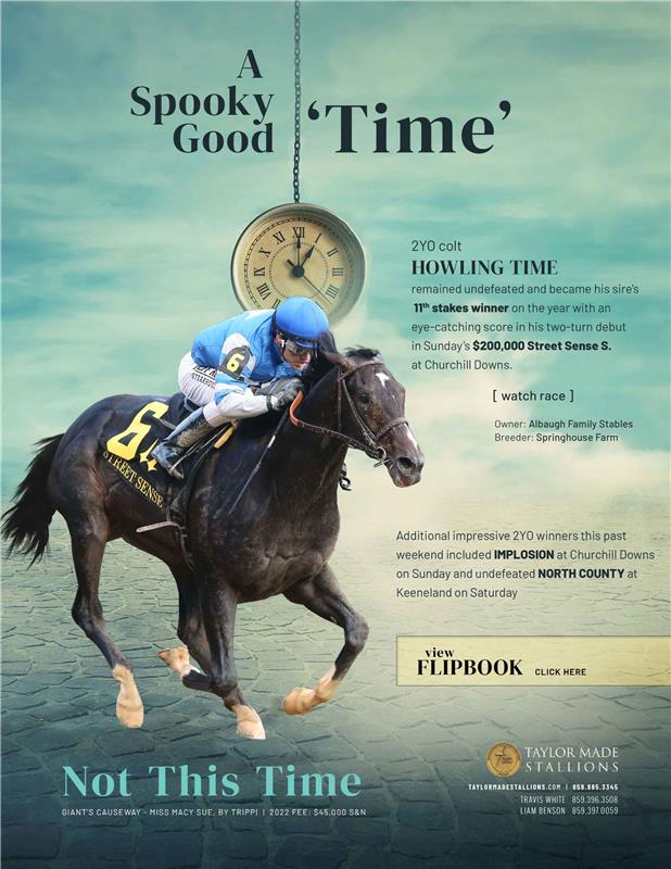 204629-NotThisTime-TDN