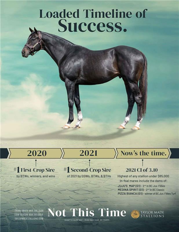 204833-NotThisTime-TDN