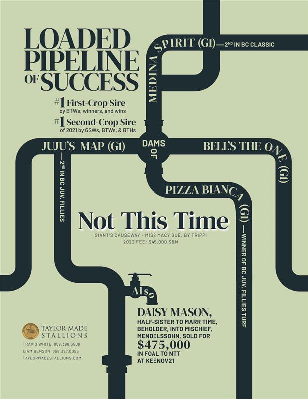 205037-NotThisTime-pipeline-TDN-V2-(1)