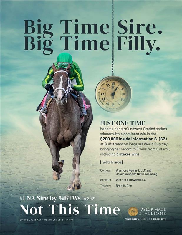 205184-NotThisTime-TDN-FINAL