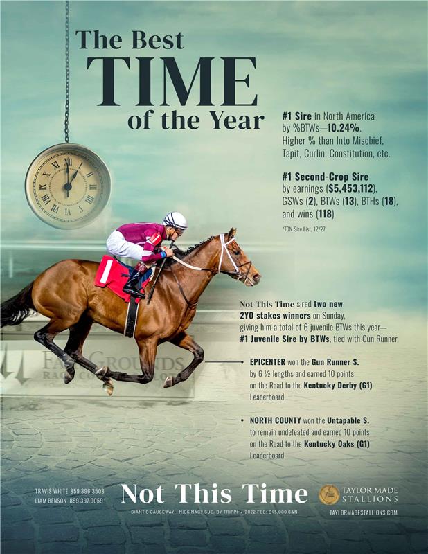 205530-NotThisTime-TDN