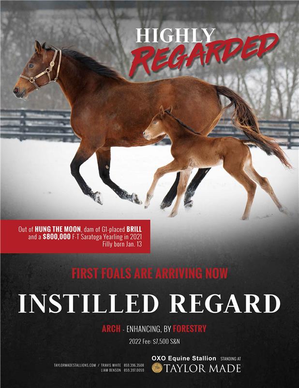 205853-InstilledRegard-TDN-FINAL
