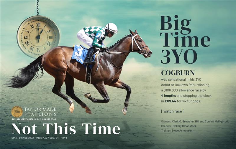 206193-NotThisTime-Half-TDN